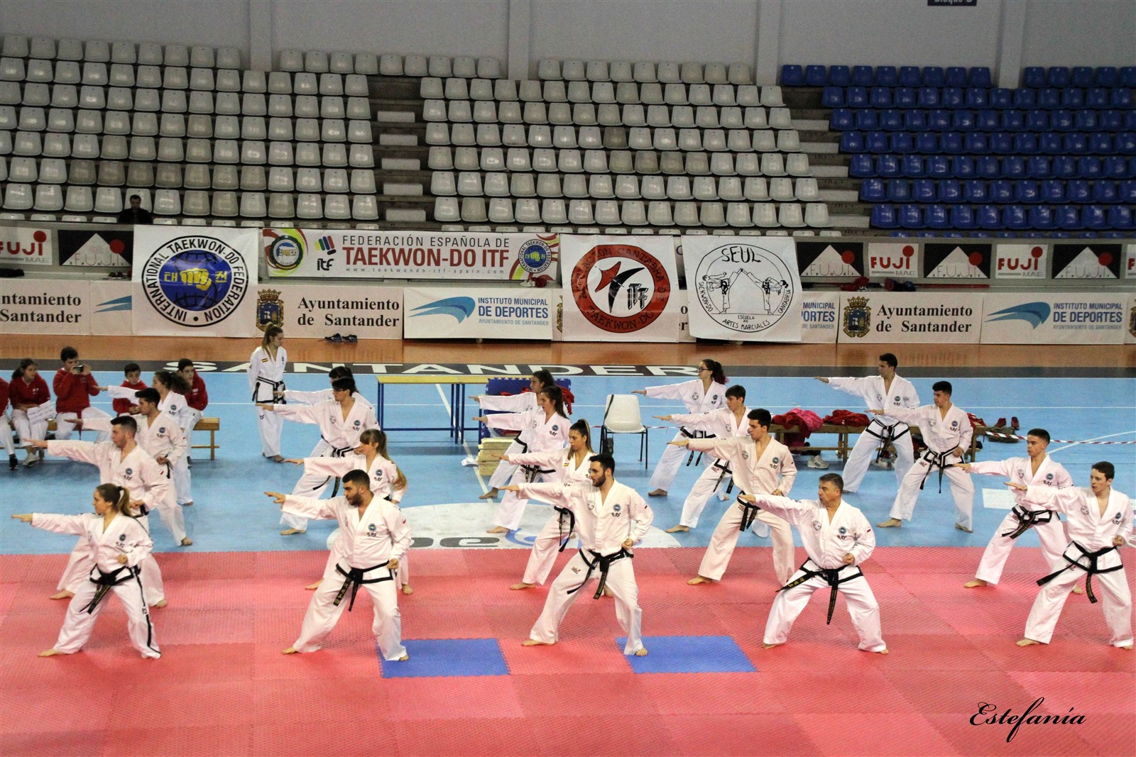 Taekwondo (208).jpg